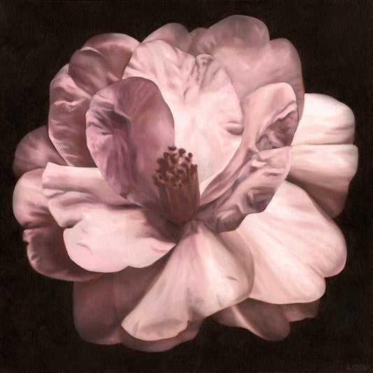 "Vespers 1"- Camellia Print