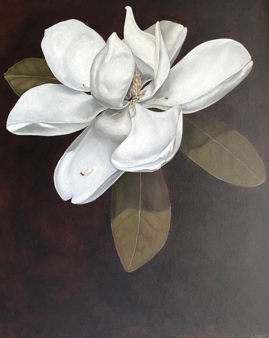 Grit Magnolia Oil Painting Original by Amy Crews