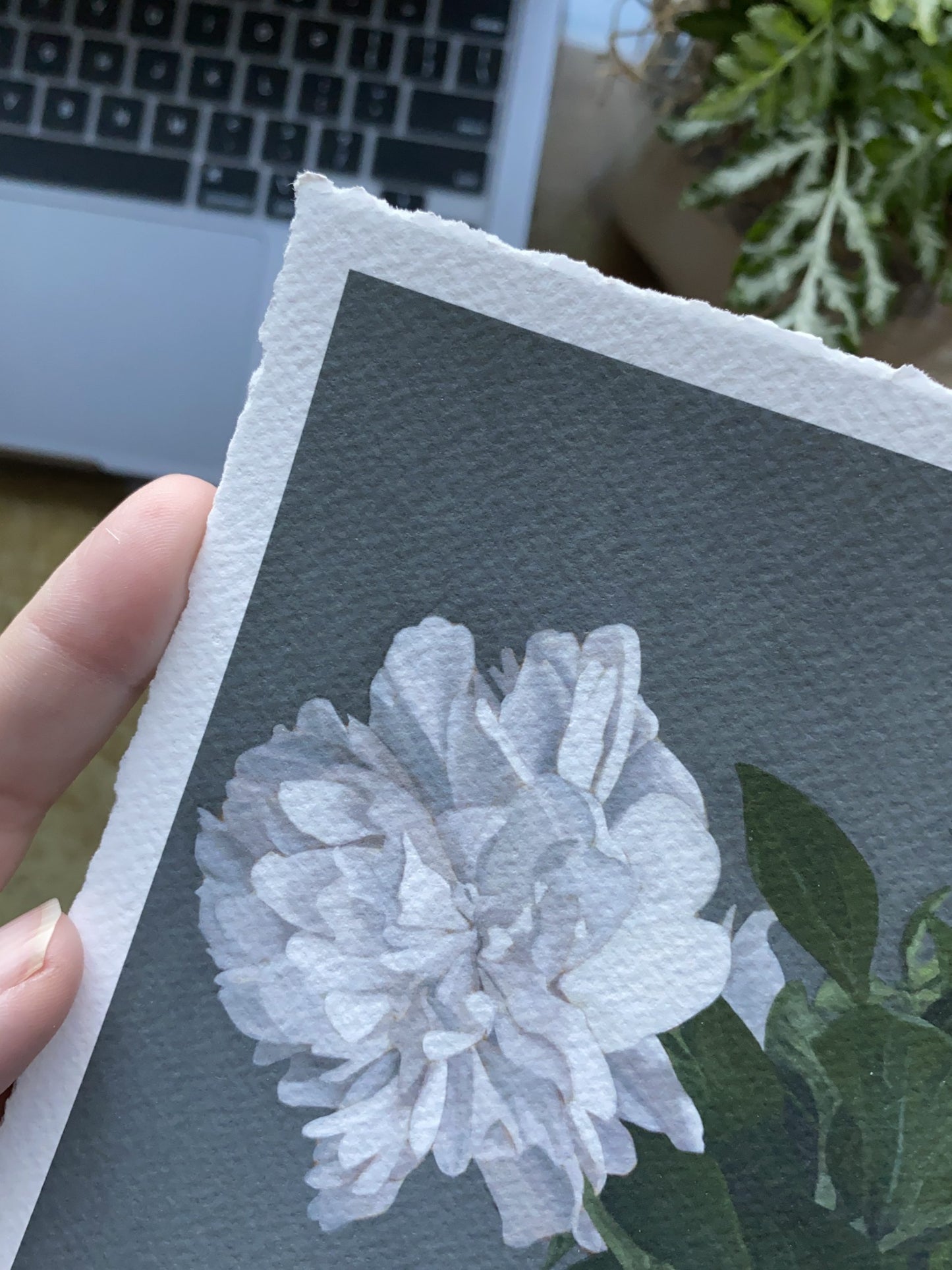 "Mom's Favorite" - Peony Print