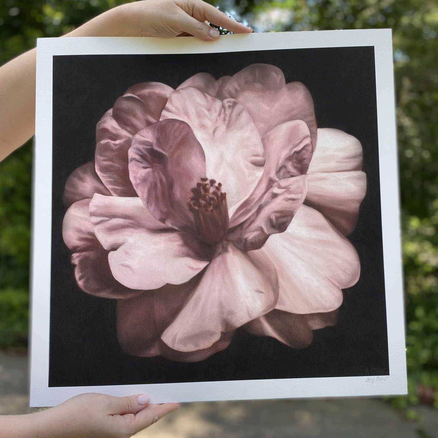 "Vespers 1"- Camellia Print