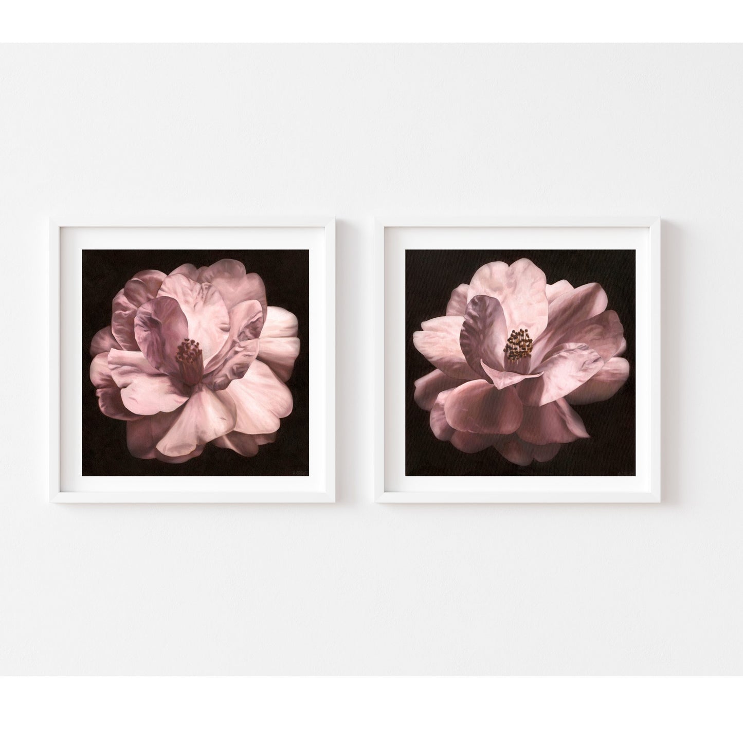 "Vespers 2"- Camellia Print
