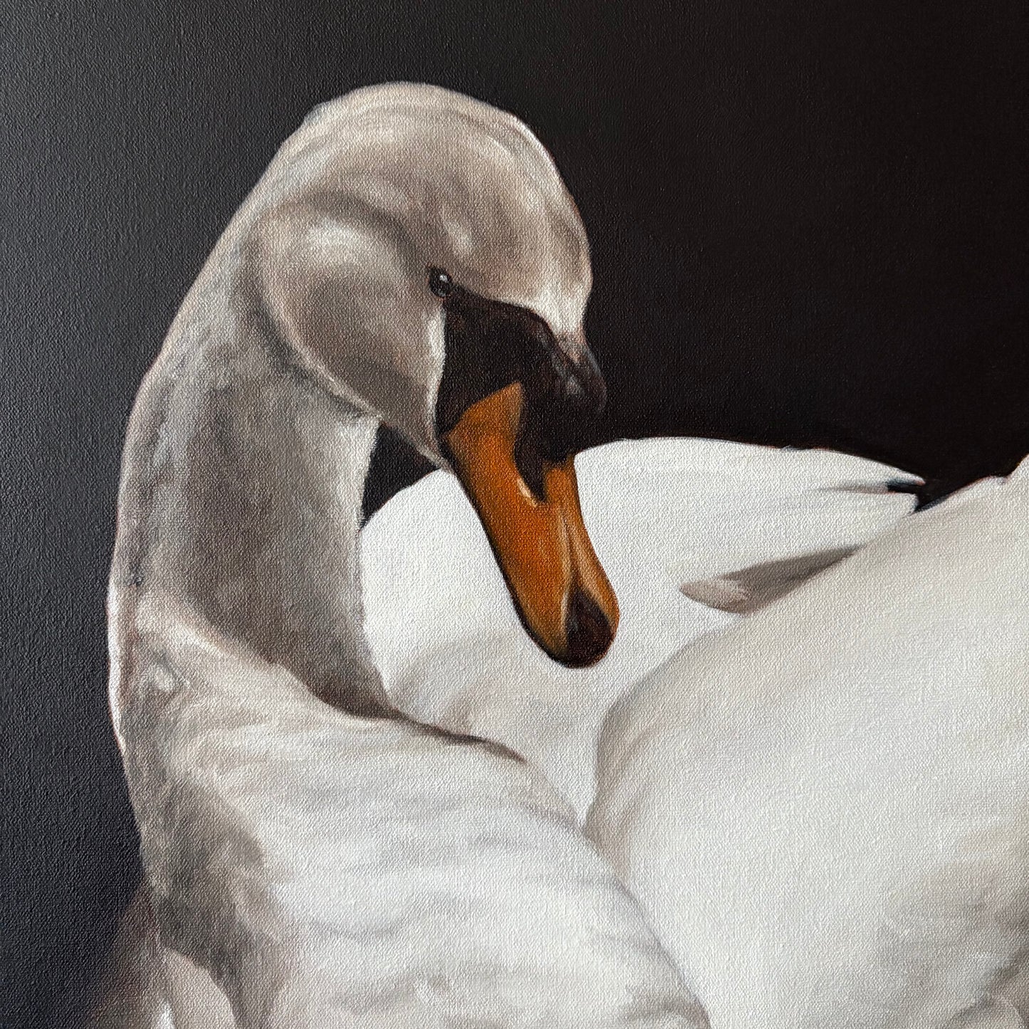 close up swan painting, original by Amy Crews Artist