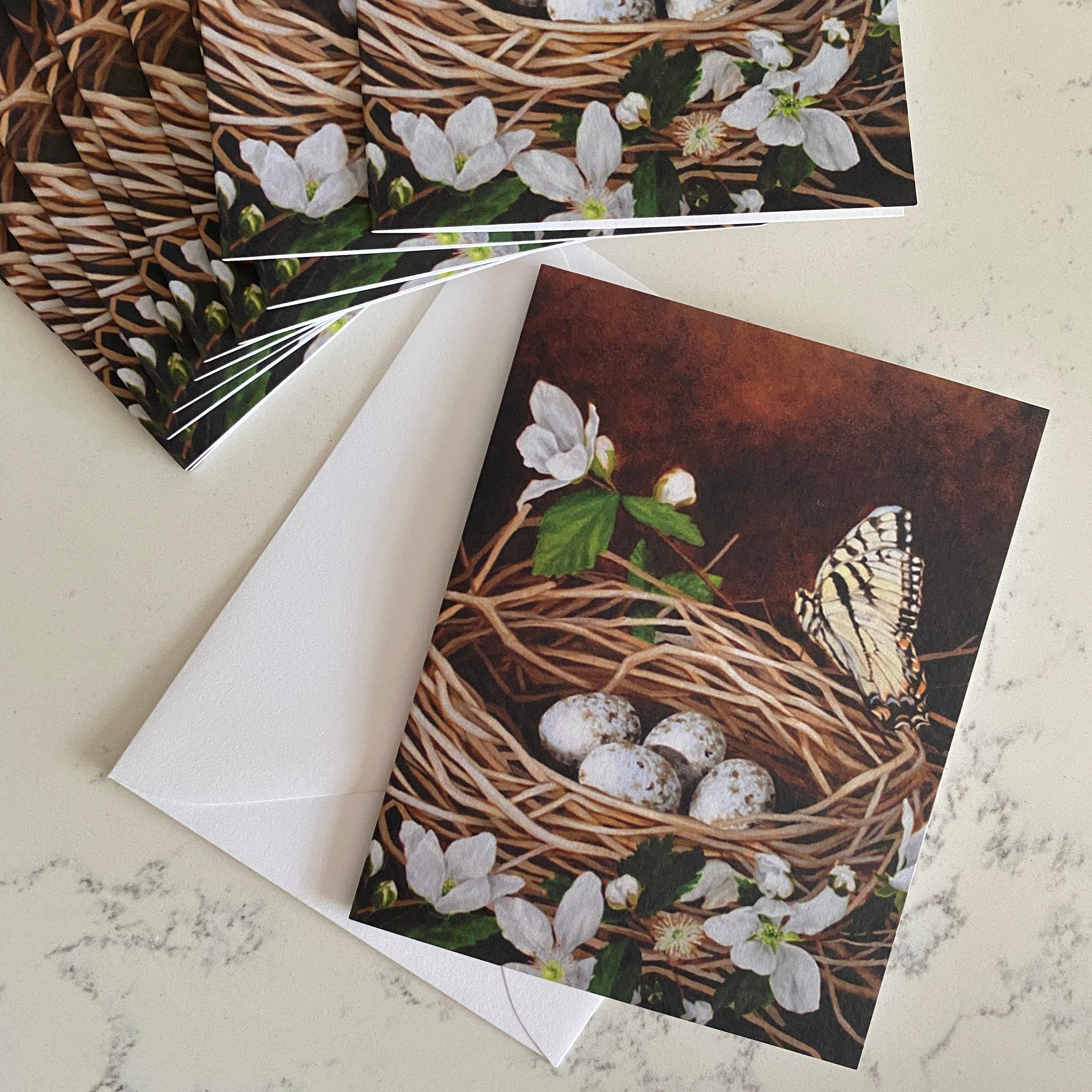 "Alabama Nest" Note Cards with  butterfly