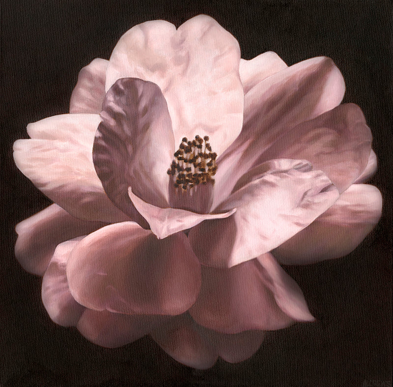 "Vespers 2"- Camellia Print