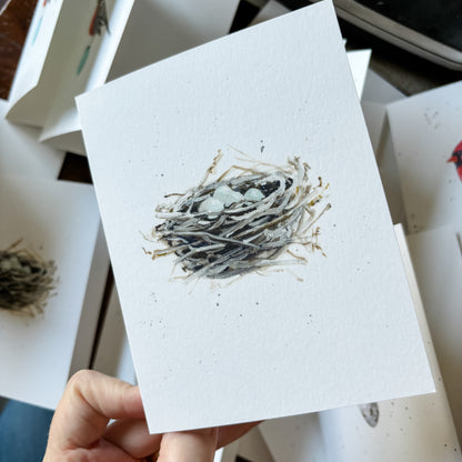 Grey Nest and Birds Eggs Note Cards