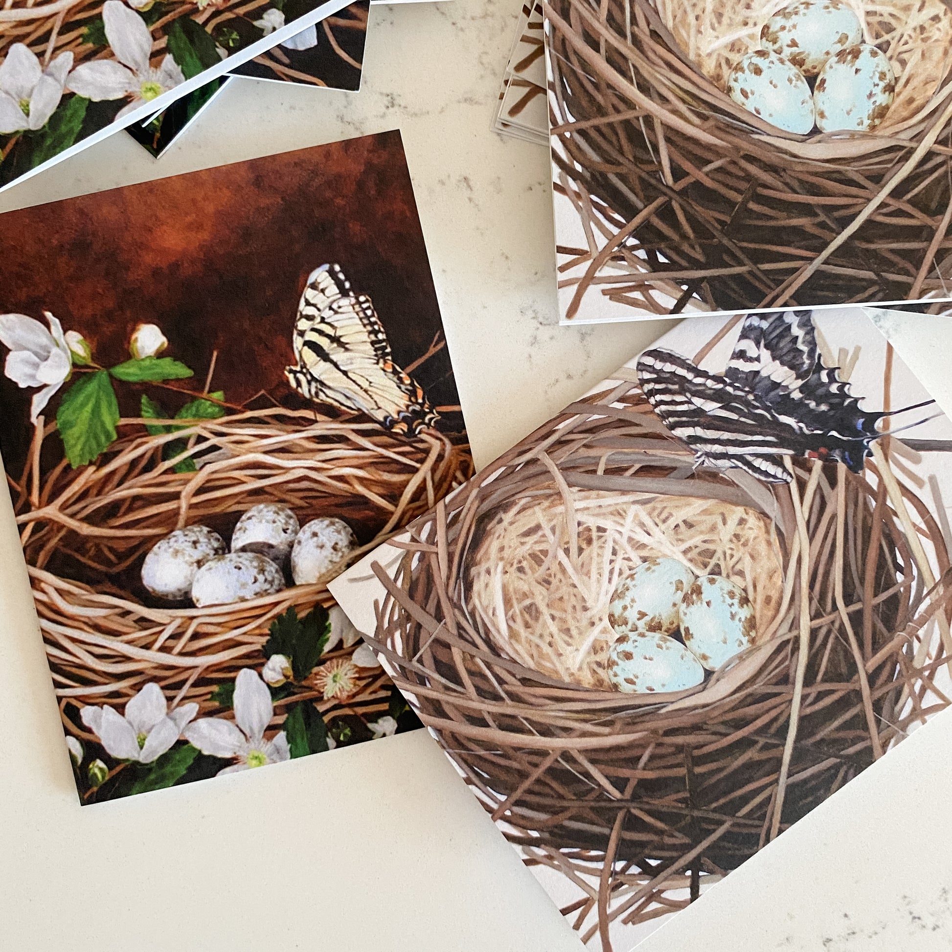 Nest and Eggs and Butterfly Note Cards