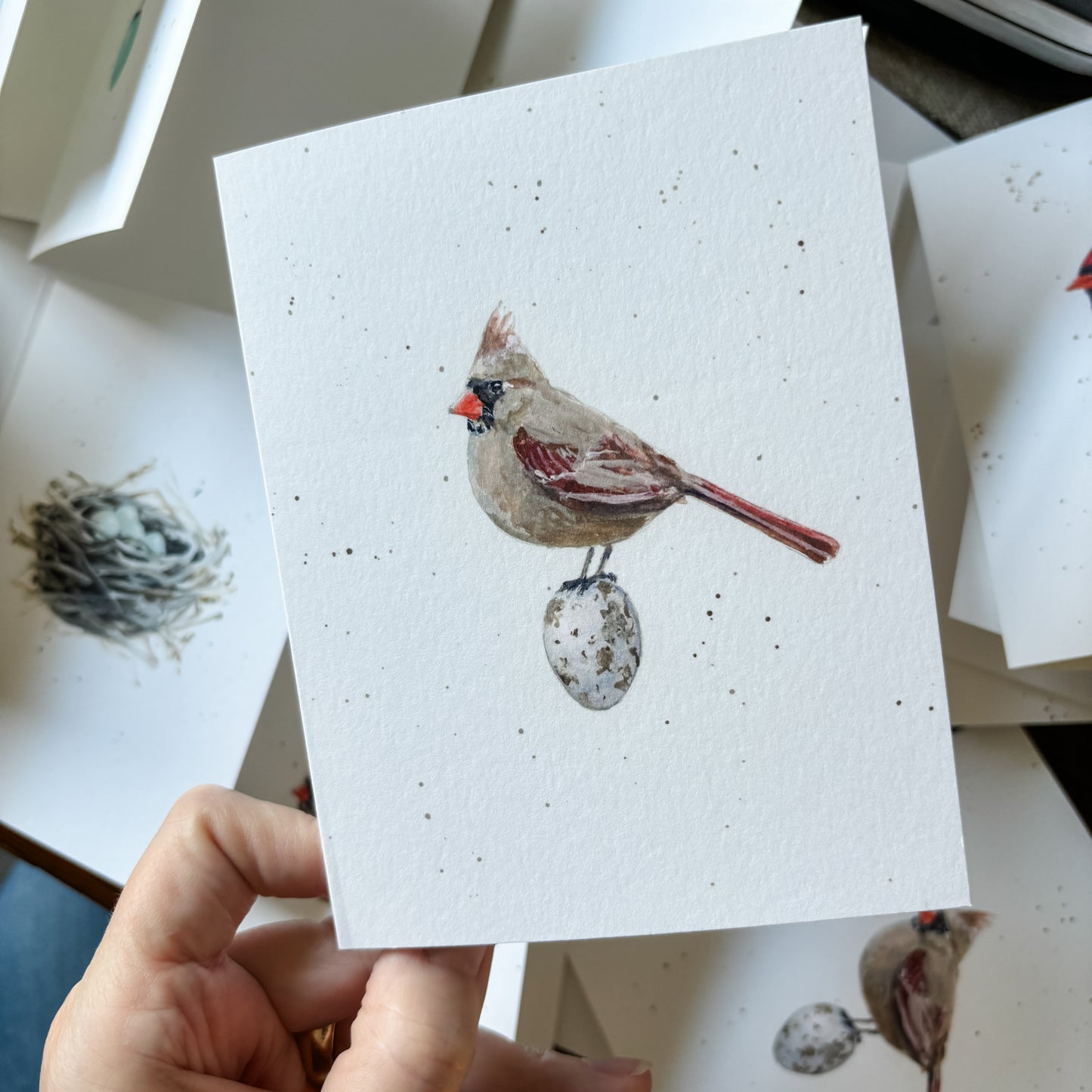 Robin Note Card Amy Crews Art