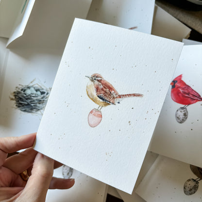 Robin and egg Note Card Amy Crews Art