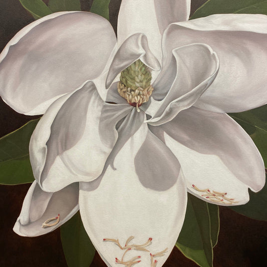 Silver Lining Original Magnolia Fine Art Painting by Amy Crews, Alabama Artist