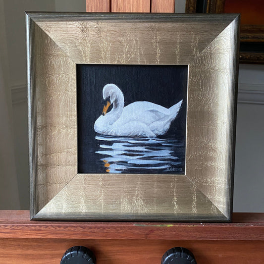 Swan and Reflection Painting framed 